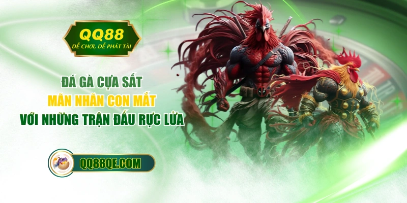 Đá Gà Cựa Sắt - Mãn Nhãn Con Mắt Với Những Trận Đấu Rực Lửa 1 Đá Gà Cựa Sắt - Mãn Nhãn Con Mắt Với Những Trận Đấu Rực Lửa